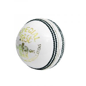 CW Special Test White Cricket Ball 