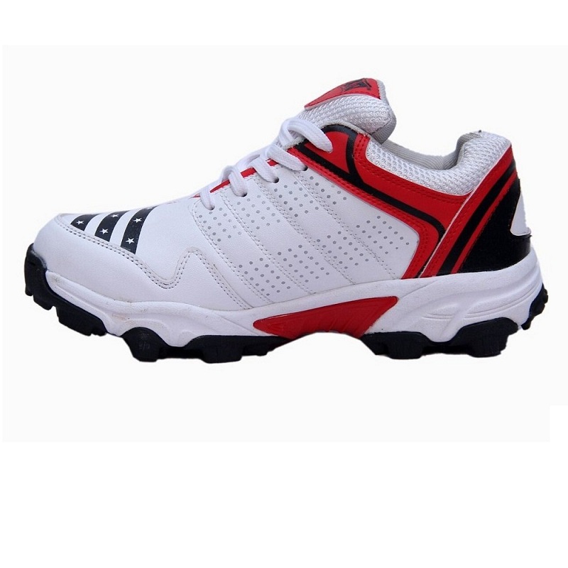 617OWCJZlJL._SL1000_