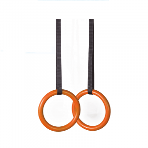 XPEED Professional Fitness Gymnasti