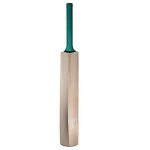 CW Kashmir Willow SH Plain Cricket 