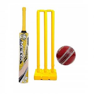 CW Ruler Net Training Cricket Set Full Size Kashmir Willow Cricket Bat Adult – Senior Wicket Cricket Stand Plastic Stumps Set