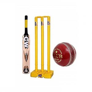CW Smash Cricket Kit Practice Cricket Kit Full Size Kashmir Willow Cricket Bat SH Plastic Wicket Stand Club Cricket Leather Ball