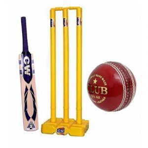 CW Pitch Smasher Cricket Kit Premium Kashmir Willow Cricket Bat Adult Size Plastic Wicket Set & 2 Part Seasoned Leather Cricket Ball Cork Inner