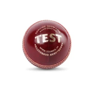 SG Test Premium Red Leather Cricket